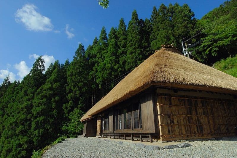 祖谷 おしゃれ宿5選 女子旅ガイド【2026年版】