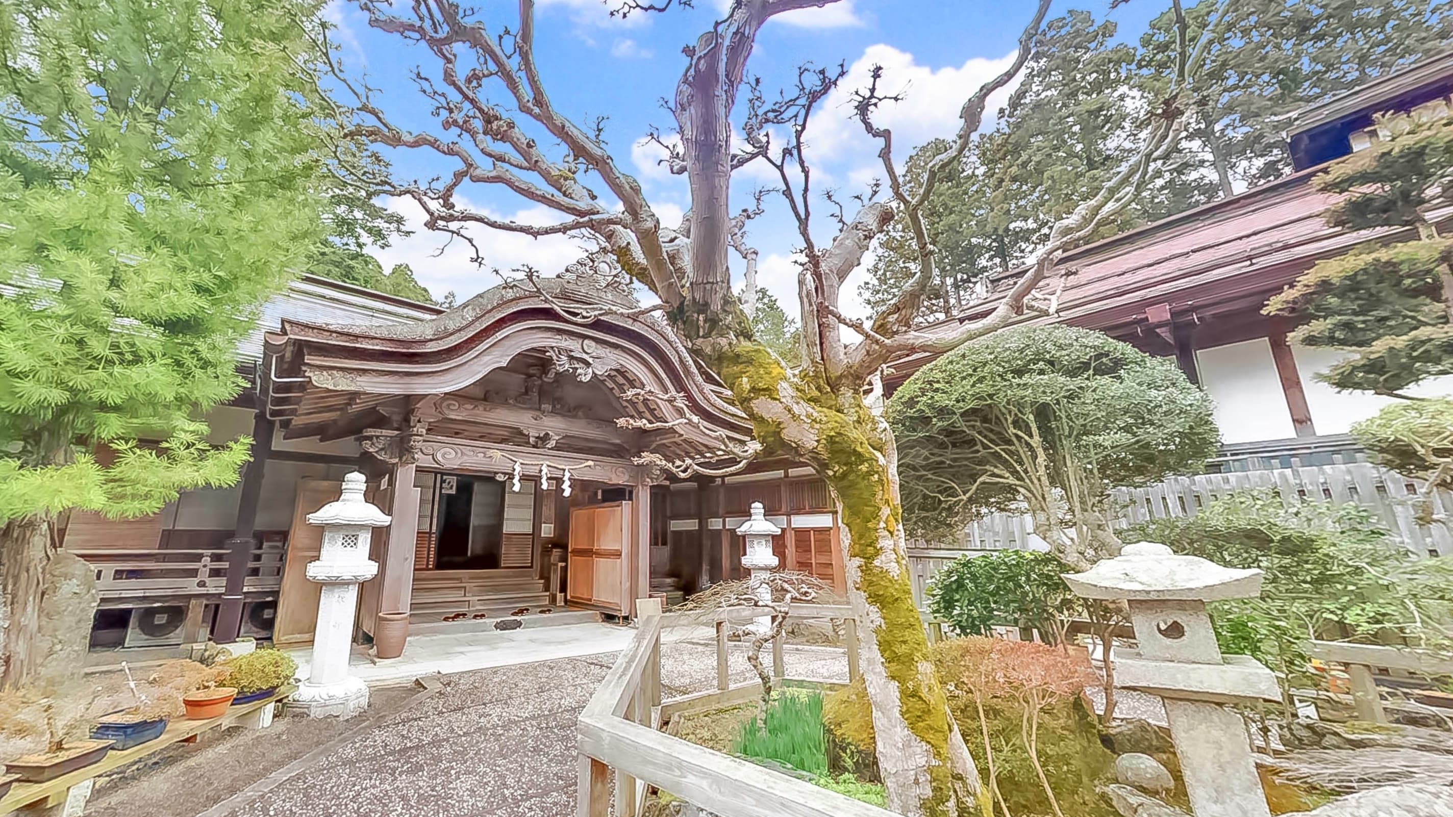 高野山のおしゃれカフェ2026年版|精進スイーツが映える人気店5選+宿坊もご紹介